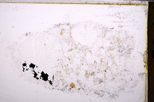 Plane Polarized, E26686