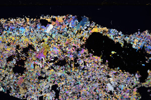 Cross Polarized, E26687