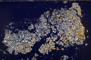 Cross Polarized, E26713