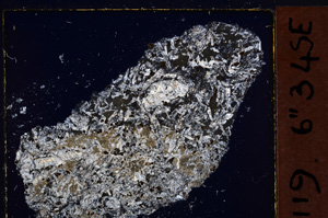 Cross Polarized, E26714