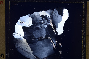 Cross Polarized, E26715