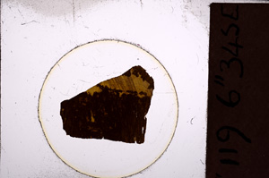 Plane Polarized, E26716