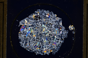 Cross Polarized, E26718