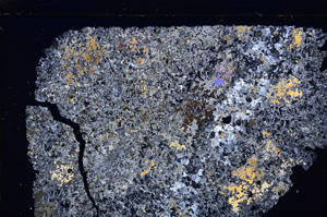 Cross Polarized, E26720