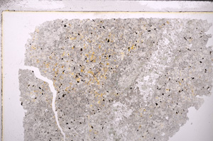 Plane Polarized, E26720