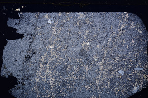 Cross Polarized, E26721