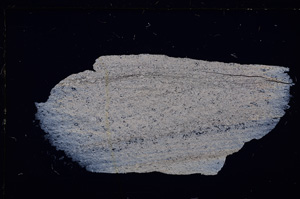 Cross Polarized, E26723