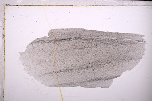 Plane Polarized, E26723