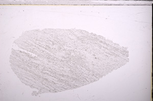 Plane Polarized, E26724