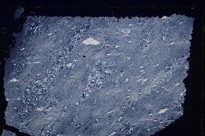 Cross Polarized, E26725