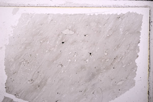 Plane Polarized, E26725