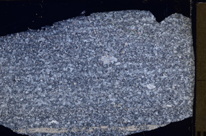 Cross Polarized, E26726