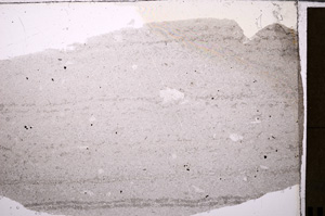 Plane Polarized, E26726