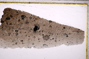 Plane Polarized, E26747