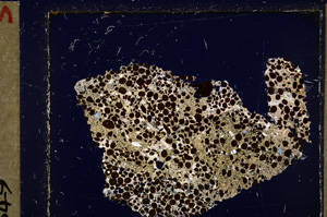 Cross Polarized, E26758