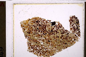 Plane Polarized, E26758