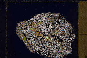 Cross Polarized, E26759