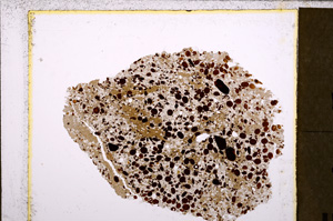 Plane Polarized, E26759