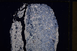 Cross Polarized, E26767