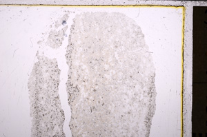 Plane Polarized, E26767