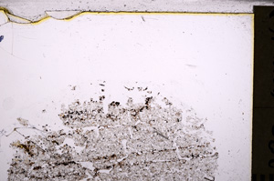 Plane Polarized, E26768