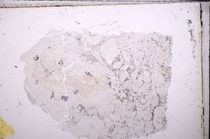 Plane Polarized, E26771