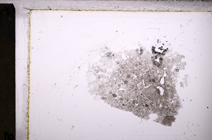 Plane Polarized, E26773