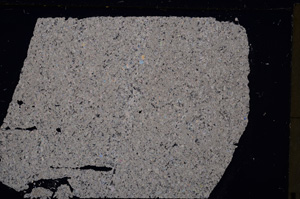 Cross Polarized, E26776