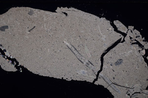 Cross Polarized, E26778