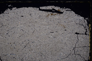 Cross Polarized, E26781