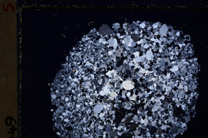 Cross Polarized, E26782