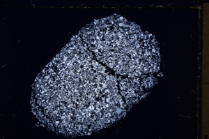 Cross Polarized, E26783