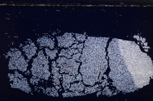 Cross Polarized, E26784