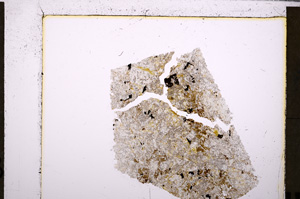 Plane Polarized, E26791