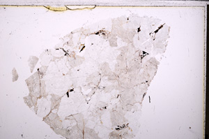 Plane Polarized, E26792