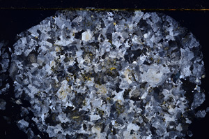 Cross Polarized, E26796