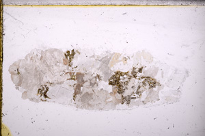 Plane Polarized, E26803