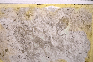 Plane Polarized, E26804