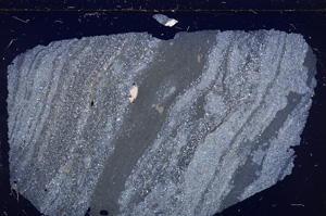 Cross Polarized, E26805