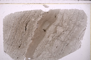 Plane Polarized, E26805