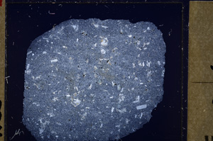 Cross Polarized, E26807