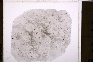 Plane Polarized, E26807