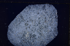 Cross Polarized, E26809