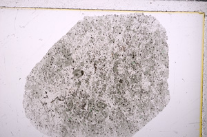 Plane Polarized, E26809