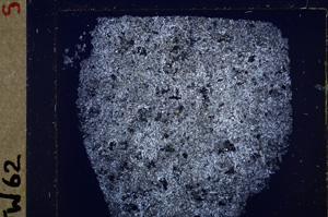 Cross Polarized, E26814