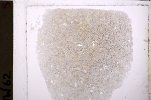 Plane Polarized, E26814