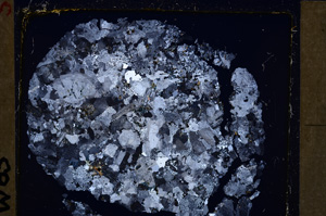 Cross Polarized, E26817