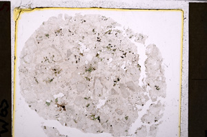 Plane Polarized, E26817