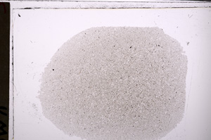 Plane Polarized, E26824