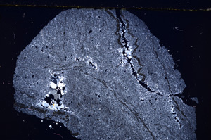 Cross Polarized, E26827